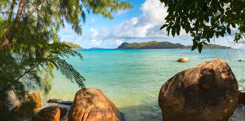 Palm en tropisch strand, ropisch landschap van zomerlandschap, concept van vakantiereizen