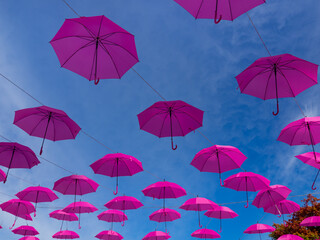 Pink umbrellas to support Breast Cancer Awareness