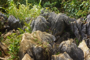 limestone karst rock outcrop daraitan mountain philippines 10
