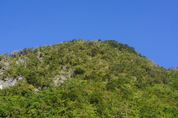 Fototapeta na wymiar limestone karst hill 2