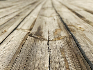 Aged wood board texture. Photophone for photography and design