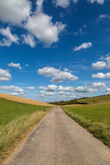 A Country Road in Rural Sussex