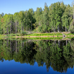 Obraz premium lake summer landscape
