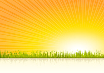 Sunset vector illustration background with grass
