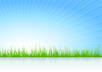 Fototapeta na wymiar Summer vector illustration background with grass