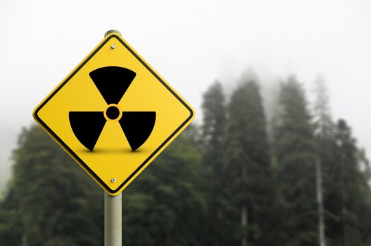 Nuclear radioactive danger sign in forest in exclusion zone.
