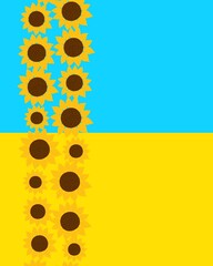Ukraine symbolic sunflower vertical border with traditional Ukrainian flag colors blue and yellow background, symbol of clear sky and ripe wheat or sunflower fields, support during the hard war period