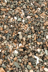 multi-colored pebbles on the seashore shimmers from the water in the sun free space close-up texture background