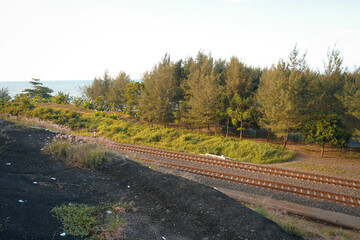 The railroad tracks pass through the forest track. Photo taken from the side of a high cliff