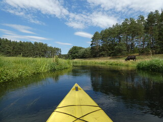Kayaking: the front of yellow kayak in Łupawa river, Pomorskie Province, Poland