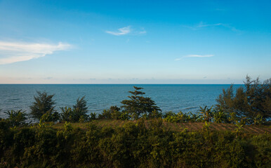 beautiful view of green trees by the sea