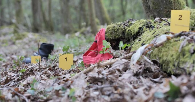 Crime sexuel, enqu&ecirc;te judiciaire 