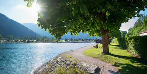 lake shore Achensee north with bench under chestnut tree, tourist resort tirol
