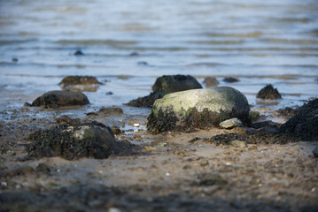 Steine im Wasser (Ostsee)