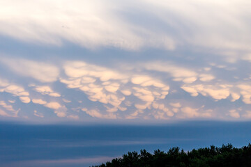 Sky with dense clouds over trees