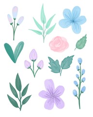 Colorful floral collection with leaves and flowers drawing with watercolor. Spring or summer design for invitation, wedding or greeting cards.