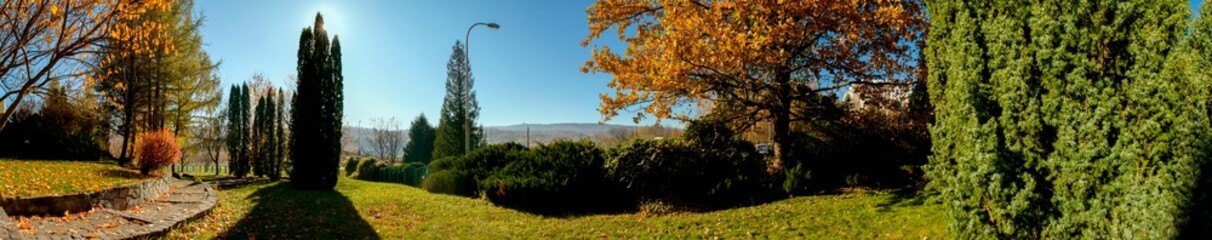 Golden autumn in the city Park