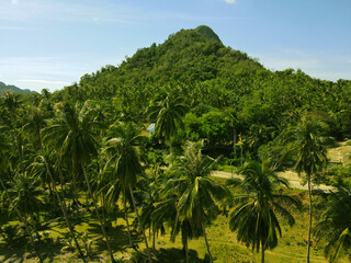 Ban Nangkam Don Sak District Surat Thani Province, Thailand.