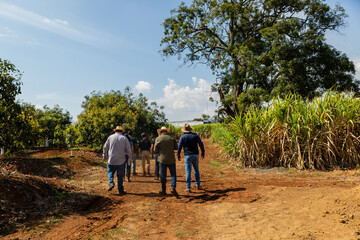Hombres caminando en el campo