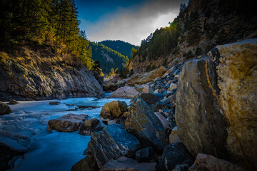 Closeup shot of stones on a river shore in a forest