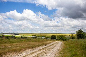 Fototapeta na wymiar Empty road in the field, footpath in the countryside