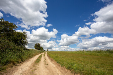 Fototapeta na wymiar Empty road in the field, footpath under the blue sky, outdoor lifestyle