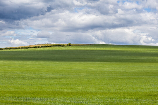 green field and blue sky