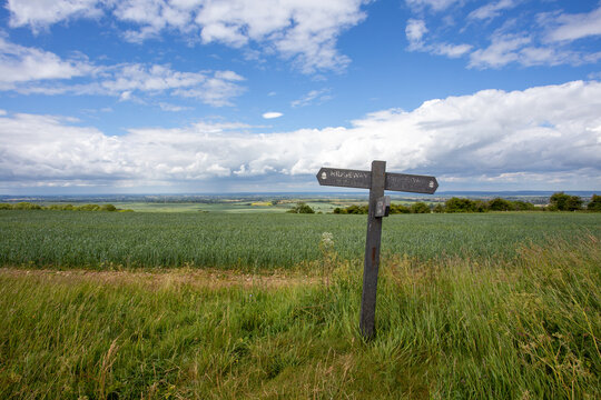 Signpost in the field, direction for hikers