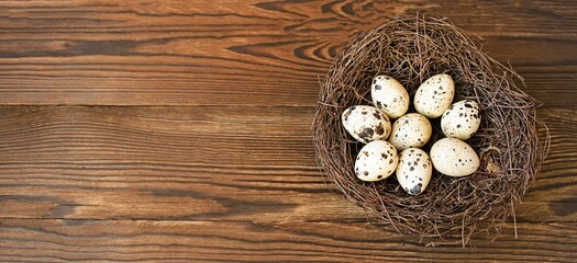 Banner, copy space for text.  On a natural wooden background, a nest with quail eggs.  The concept of minimalism, ecological environment.  Decorative postcard, flat lay.  Easter holiday.