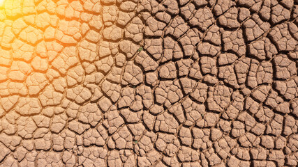 Dry and hot summers, cracked soil, ground on field with some small, green plants. texture of earth during drought. sunshine. View from the top.