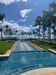 swimming pool with trees