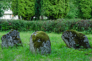 Mossy stones in a green park