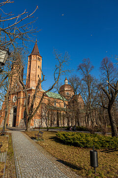 Płock - Plock - View of the Tumskie hill in Plock, Poland in spring. Bazylika Katedralna Wniebowzięcia NMP