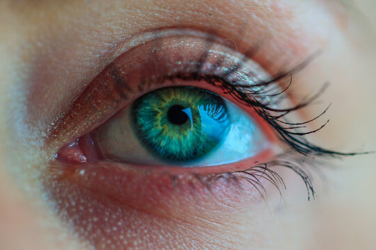 Closeup shot of a human eye