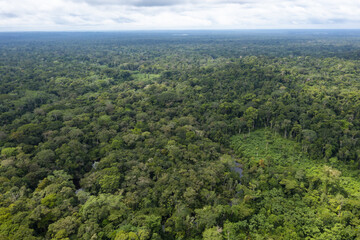 Fototapeta na wymiar Aerial view over a vast tropical forest canopy: the amazon forest runs from Ecuador to Brazil