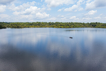 Fototapeta premium Two trees of the genus Macrolobium are casting their shadows on the water below, zooming out and showing the entire lagoon in the Amazon of Ecuador, South America
