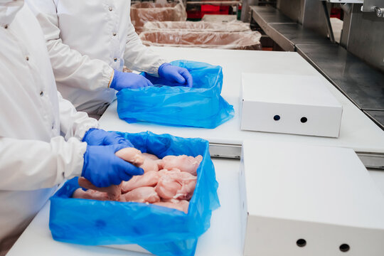modern poultry processing plant.Meat processing in food industry.Packing of meat slices in boxes on a conveyor belt.Line for the production of semi-finished meat products.