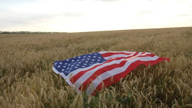 Big usa flag lies on the ears of wheat in the field