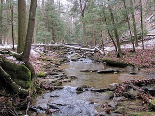 Fototapeta na wymiar Mountain Spring Stream