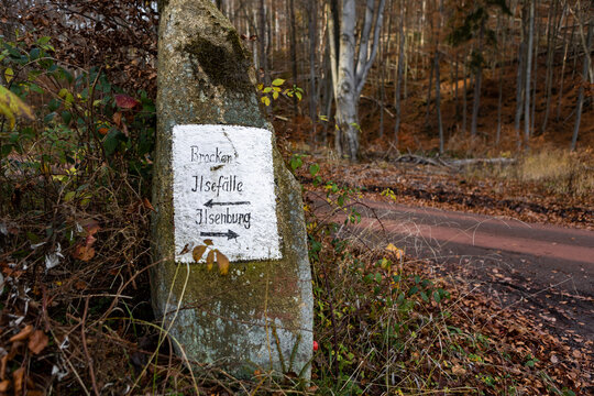 Zeigerblatt Bilder Durchsuchen 18,238 Archivfotos, und