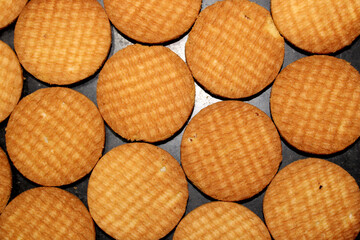 Close-up view of the tasty biscuit. Cookies texture.