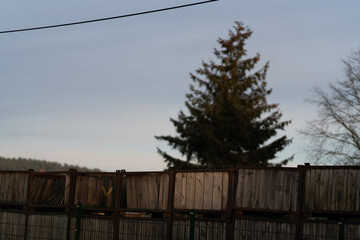 Derwitz Werder Havel Brandenburg