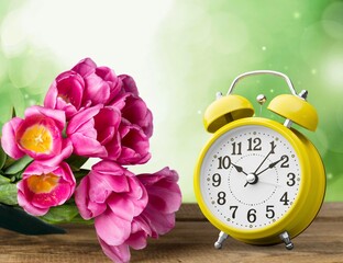 Savings time concept. Alarm clocks with tulip flowers.