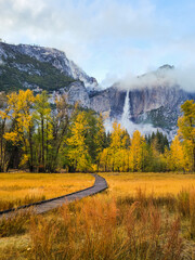Narrow footpath through yellow trees and grass in Yosemite national park in California in autumn