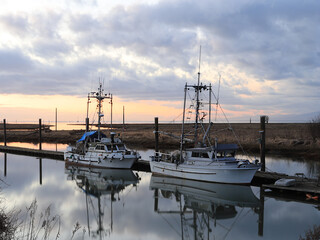 boats in the harbor