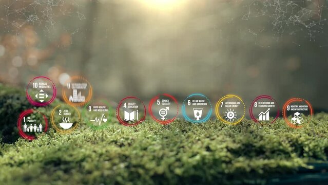 The 17 Global Goals Circle Icons Moss Background Concept