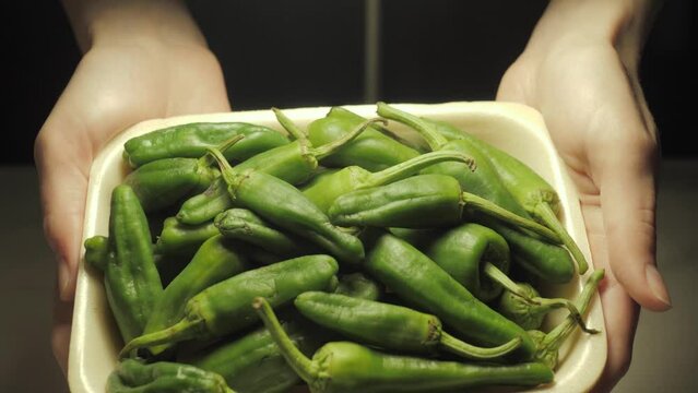 Traditional Spanish padron green peppers close-up, tapas, catalan dish. Hands holding bowl with fresh spicy vegetables. 