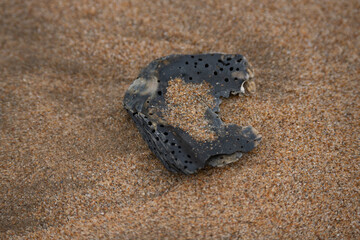 Fototapeta na wymiar Strandgut Steine Holz Muscheln Atlantik Playa de la Antilla bei Islantilla Huelva Spanien