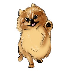 Pomeranian Dog Cute illustration
