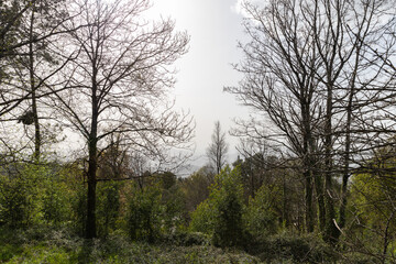 Natural park, Braga, Portugal